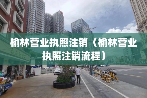 榆林营业执照注销(榆林营业执照注销流程)