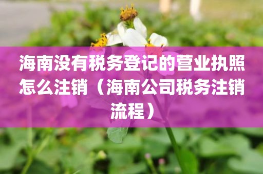 海南没有税务登记的营业执照怎么注销（海南公司税务注销流程）