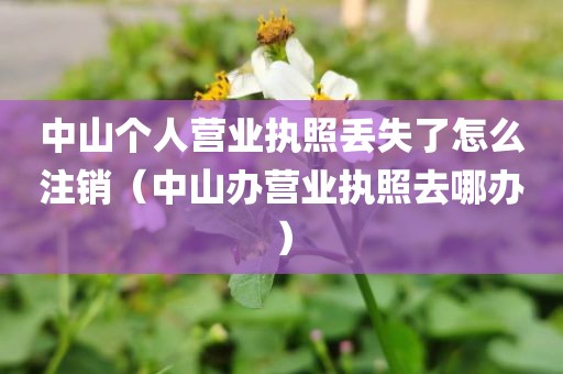 中山个人营业执照丢失了怎么注销（中山办营业执照去哪办）