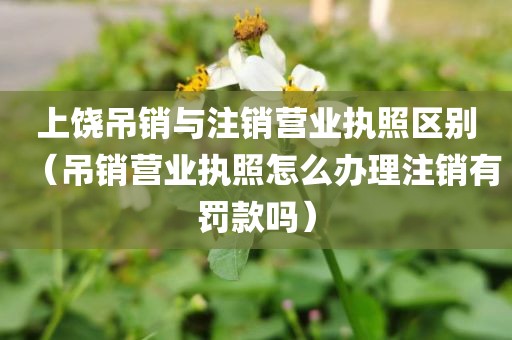 上饶吊销与注销营业执照区别（吊销营业执照怎么办理注销有罚款吗）