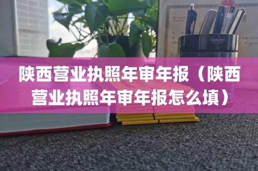 陕西营业执照年审年报（陕西营业执照年审年报怎么填）