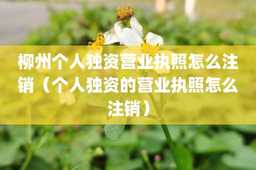 柳州个人独资营业执照怎么注销(个人独资的营业执照怎么注销)
