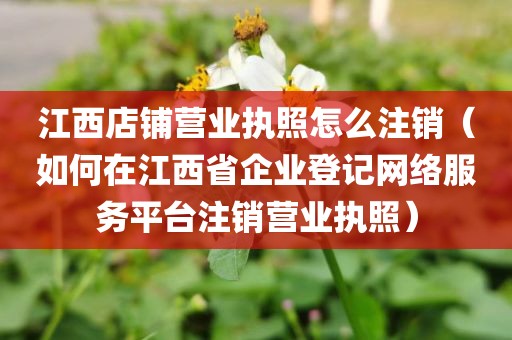 江西店铺营业执照怎么注销（如何在江西省企业登记网络服务平台注销营业执照）