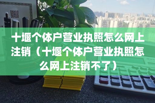 十堰个体户营业执照怎么网上注销（十堰个体户营业执照怎么网上注销不了）