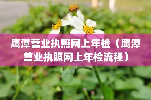 鹰潭营业执照网上年检（鹰潭营业执照网上年检流程）