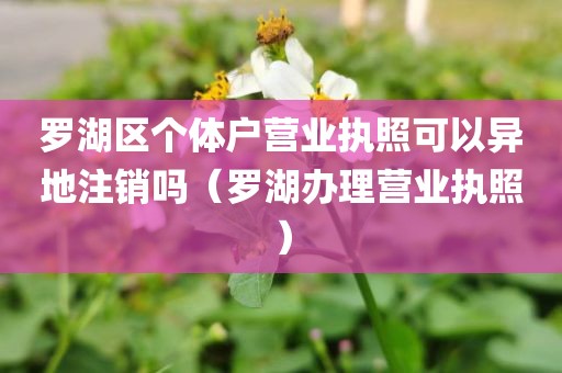 罗湖区个体户营业执照可以异地注销吗(罗湖办理营业执照)