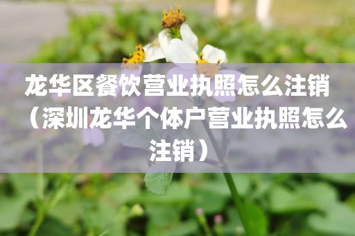 龙华区餐饮营业执照怎么注销（深圳龙华个体户营业执照怎么注销）