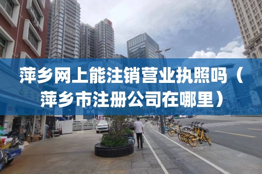 萍乡网上能注销营业执照吗（萍乡市注册公司在哪里）