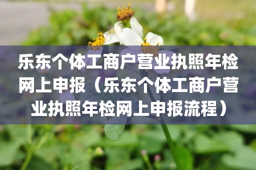 乐东个体工商户营业执照年检网上申报（乐东个体工商户营业执照年检网上申报流程）