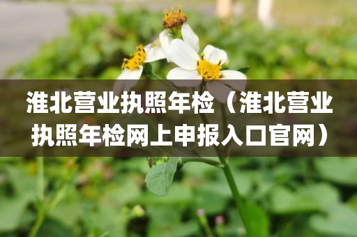 淮北营业执照年检（淮北营业执照年检网上申报入口官网）