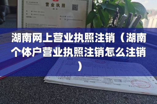 湖南网上营业执照注销(湖南个体户营业执照注销怎么注销)