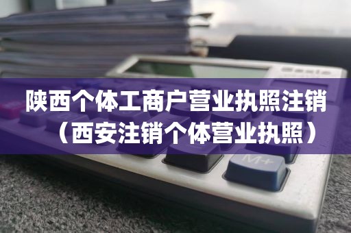 陕西个体工商户营业执照注销（西安注销个体营业执照）