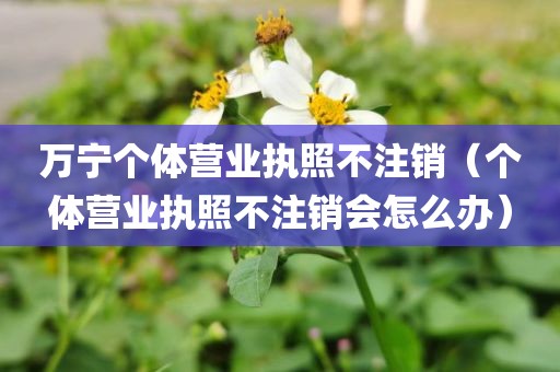 万宁个体营业执照不注销（个体营业执照不注销会怎么办）