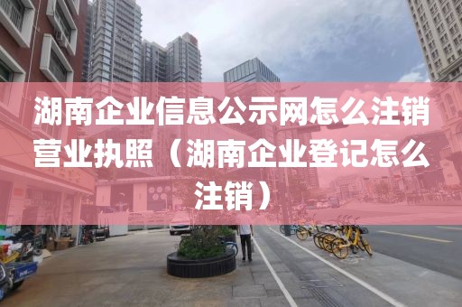 湖南企业信息公示网怎么注销营业执照（湖南企业登记怎么注销）