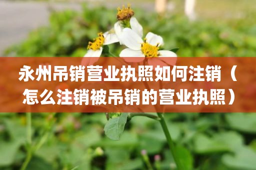 永州吊销营业执照如何注销（怎么注销被吊销的营业执照）