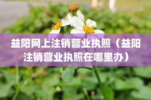 益阳网上注销营业执照（益阳注销营业执照在哪里办）