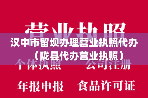 汉中市留坝办理营业执照代办（陇县代办营业执照）