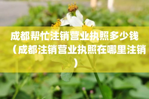 成都帮忙注销营业执照多少钱（成都注销营业执照在哪里注销）