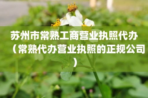 苏州市常熟工商营业执照代办（常熟代办营业执照的正规公司）