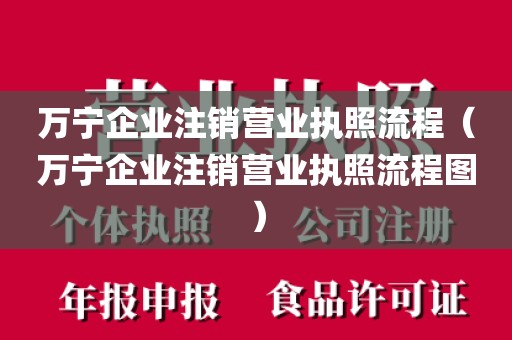 万宁企业注销营业执照流程（万宁企业注销营业执照流程图）