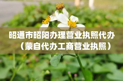 昭通市昭阳办理营业执照代办（蒙自代办工商营业执照）