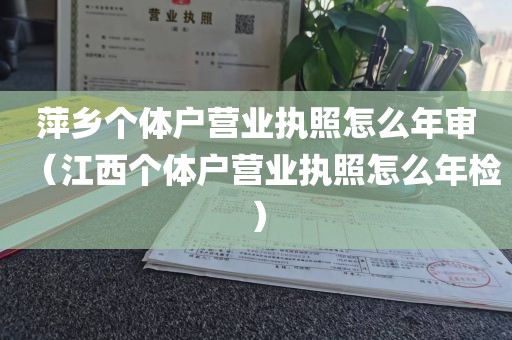 萍乡个体户营业执照怎么年审(江西个体户营业执照怎么年检)