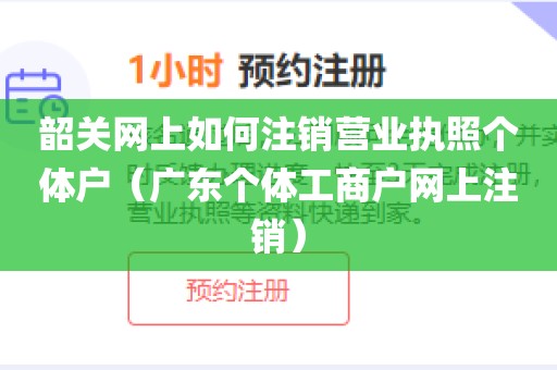 韶关网上如何注销营业执照个体户（广东个体工商户网上注销）