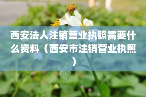 西安法人注销营业执照需要什么资料(西安市注销营业执照)