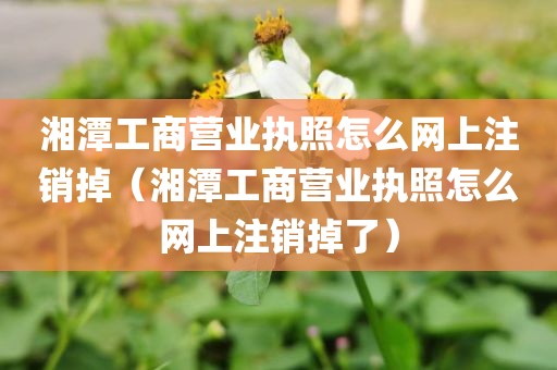 湘潭工商营业执照怎么网上注销掉(湘潭工商营业执照怎么网上注销掉了)