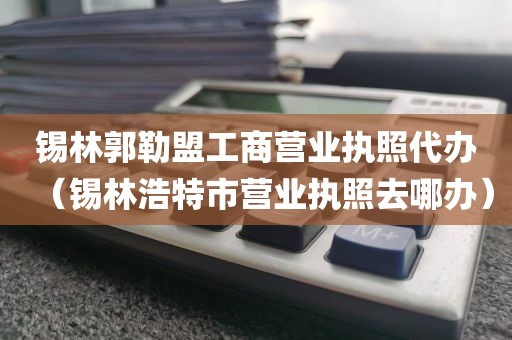 锡林郭勒盟工商营业执照代办（锡林浩特市营业执照去哪办）