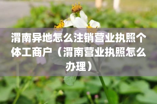 渭南异地怎么注销营业执照个体工商户（渭南营业执照怎么办理）