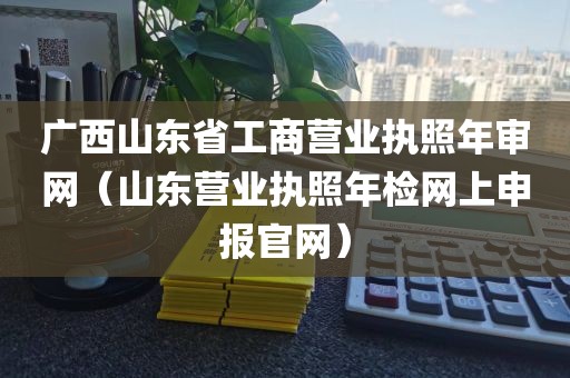 广西山东省工商营业执照年审网（山东营业执照年检网上申报官网）