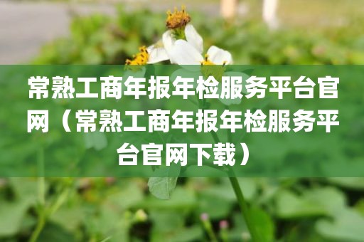 常熟工商年报年检服务平台官网(常熟工商年报年检服务平台官网下载)