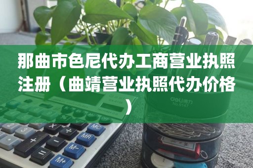 那曲市色尼代办工商营业执照注册（曲靖营业执照代办价格）