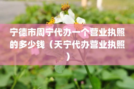 宁德市周宁代办一个营业执照的多少钱（天宁代办营业执照）