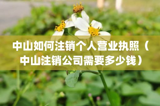 中山如何注销个人营业执照（中山注销公司需要多少钱）