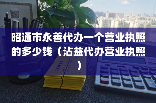 昭通市永善代办一个营业执照的多少钱（沾益代办营业执照）