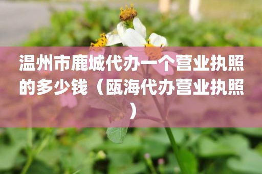 温州市鹿城代办一个营业执照的多少钱(瓯海代办营业执照)