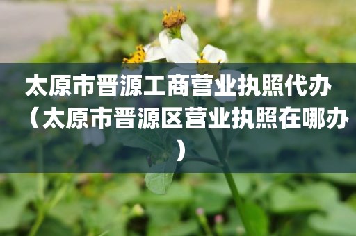 太原市晋源工商营业执照代办(太原市晋源区营业执照在哪办)