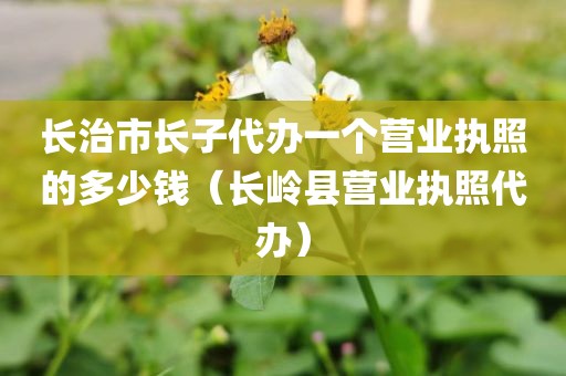 长治市长子代办一个营业执照的多少钱（长岭县营业执照代办）
