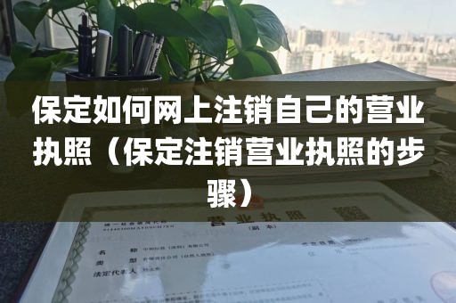 保定如何网上注销自己的营业执照（保定注销营业执照的步骤）