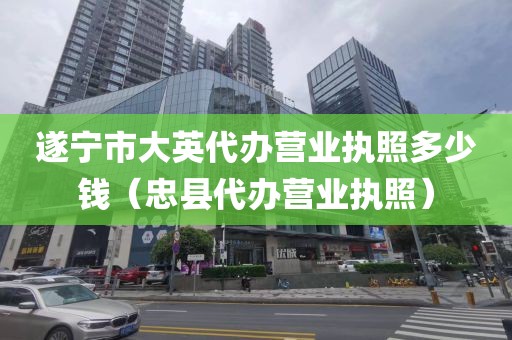 遂宁市大英代办营业执照多少钱（忠县代办营业执照）