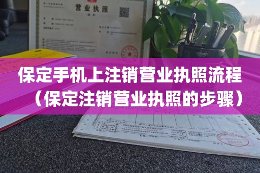 保定手机上注销营业执照流程（保定注销营业执照的步骤）