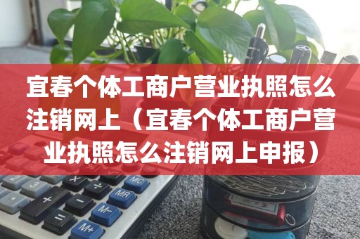 宜春个体工商户营业执照怎么注销网上（宜春个体工商户营业执照怎么注销网上申报）