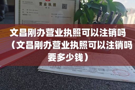 文昌刚办营业执照可以注销吗（文昌刚办营业执照可以注销吗要多少钱）