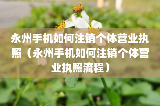 永州手机如何注销个体营业执照（永州手机如何注销个体营业执照流程）