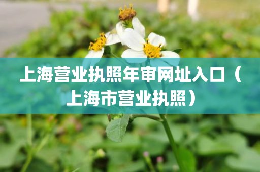 上海营业执照年审网址入口（上海市营业执照）