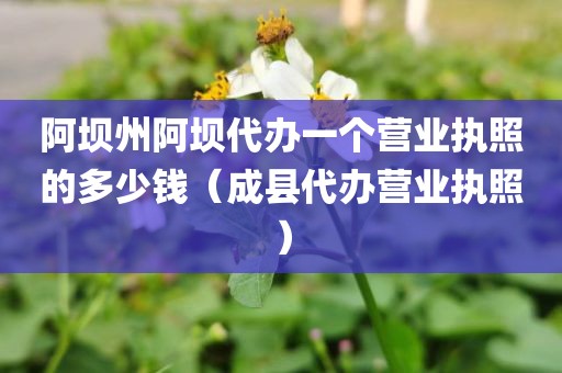 阿坝州阿坝代办一个营业执照的多少钱（成县代办营业执照）