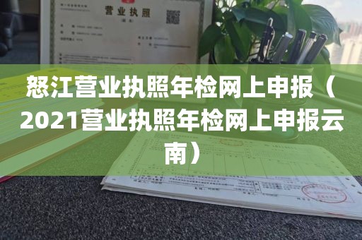 怒江营业执照年检网上申报（2021营业执照年检网上申报云南）