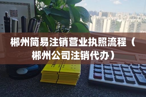 郴州简易注销营业执照流程（郴州公司注销代办）